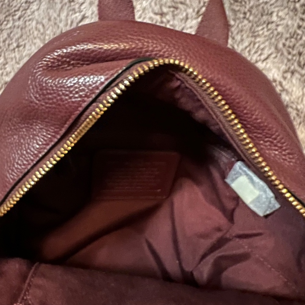 Coach Charlie Pebble Mini Leather Backpack - Picture 8 of 14